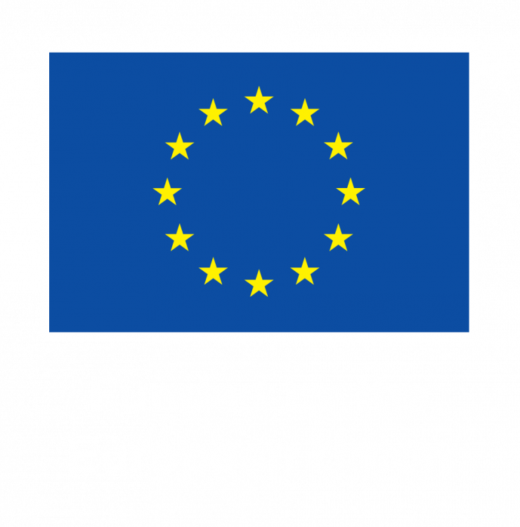 EN V Funded by the EU_NEG.png